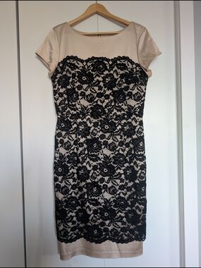 le chateau Black Lace Overlay on Nude Midi Sheath Dress